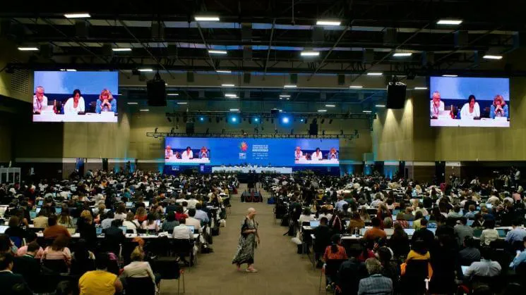 54110108407_a10627c1b3_h